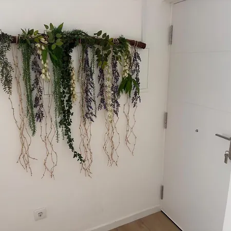 House Guest Confort Apartment